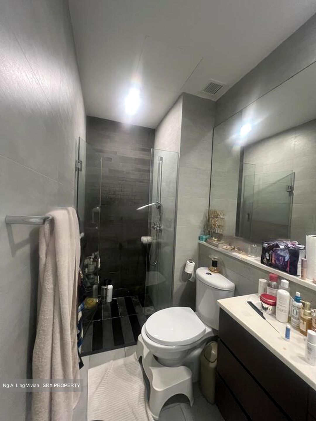The Tresor (D10), Condominium #630327691